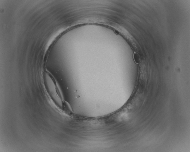 X0000077380896200611031933