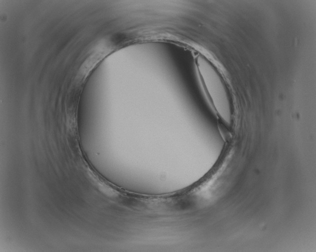 X0000077380897200611031933