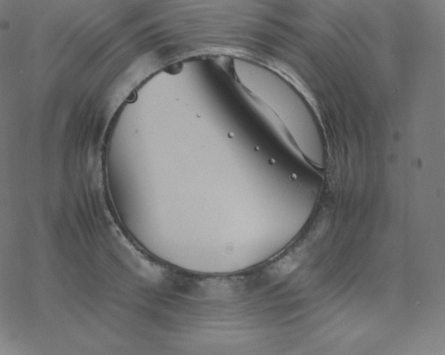 X0000077380898200611031933