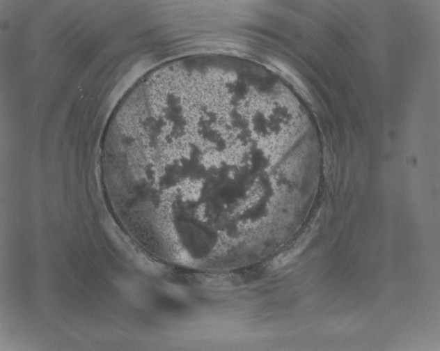 X0000077380899200611031933