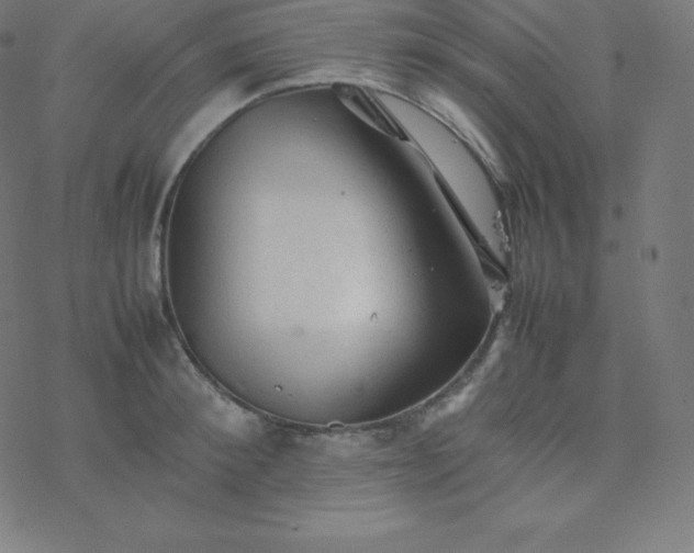 X0000077380900200611031933