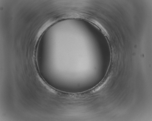 X0000077380901200611031933