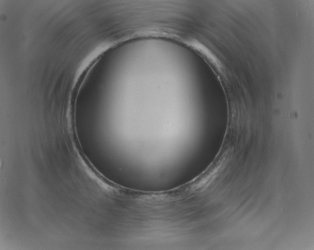 X0000077380902200611031933