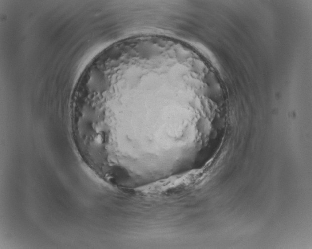 X0000077380903200611031933