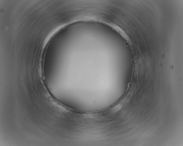 X0000077380904200611031933