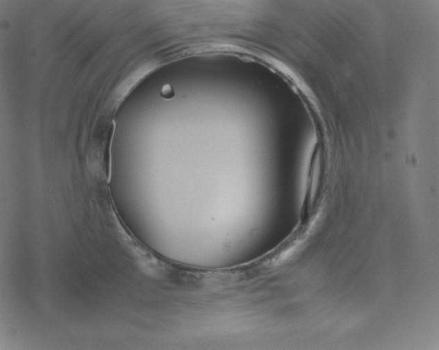 X0000077380905200611031933