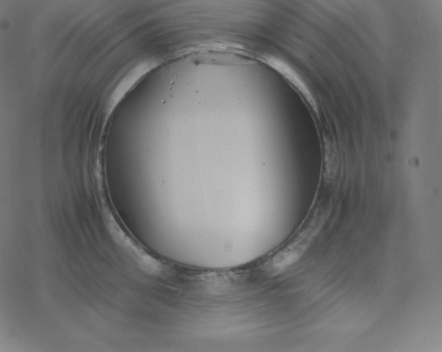 X0000077380906200611031933