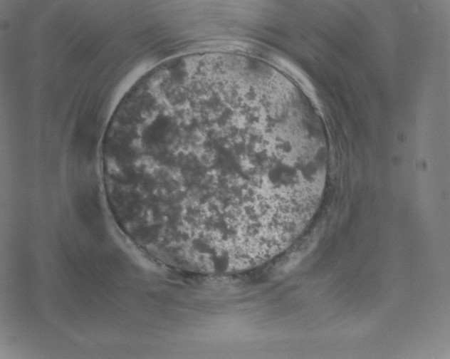 X0000077380907200611031933