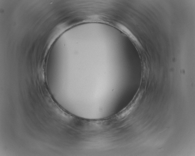 X0000077380908200611031933