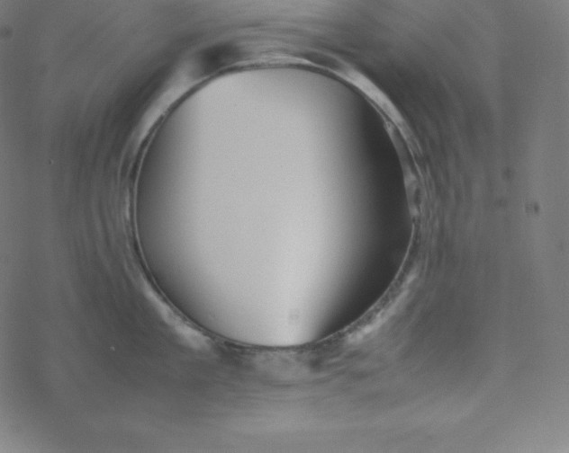 X0000077380909200611031933