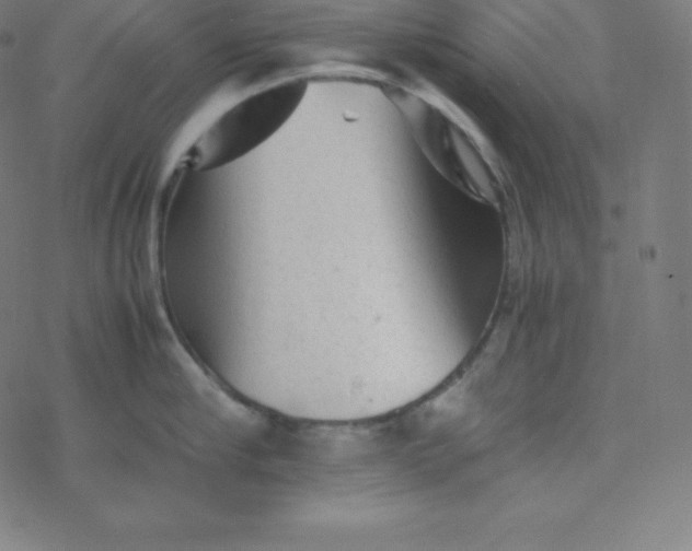 X0000077380910200611031933