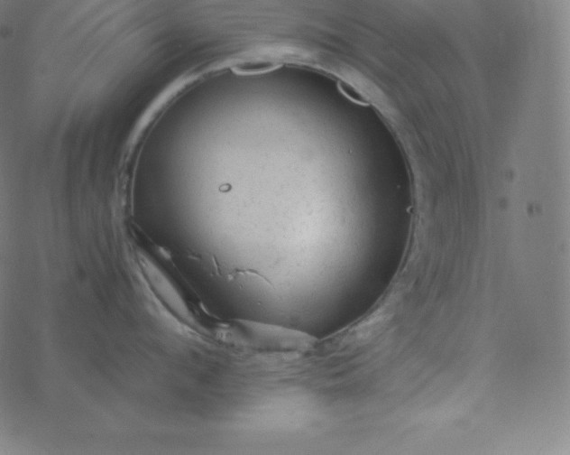 X0000077380912200611031933