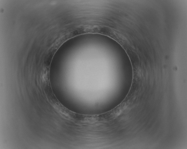 X0000077380914200611031932