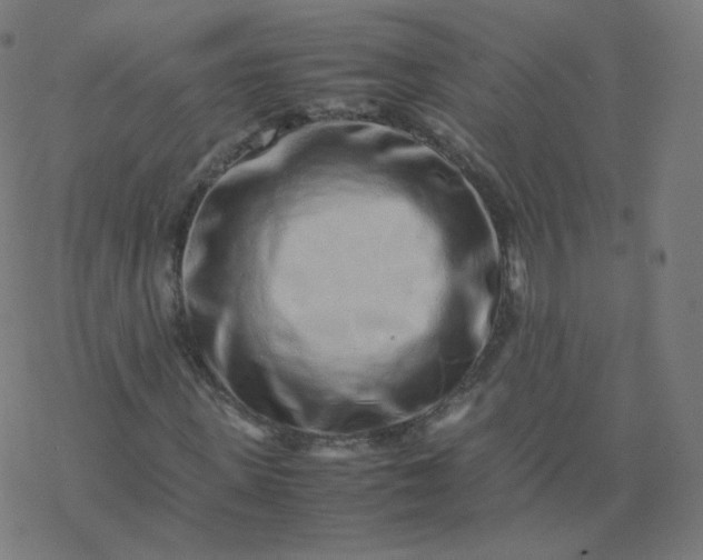 X0000077380915200611031932