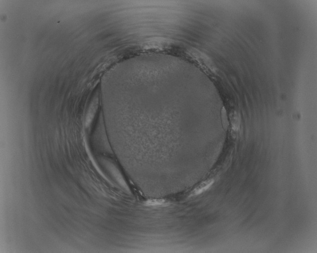 X0000077380916200611031932