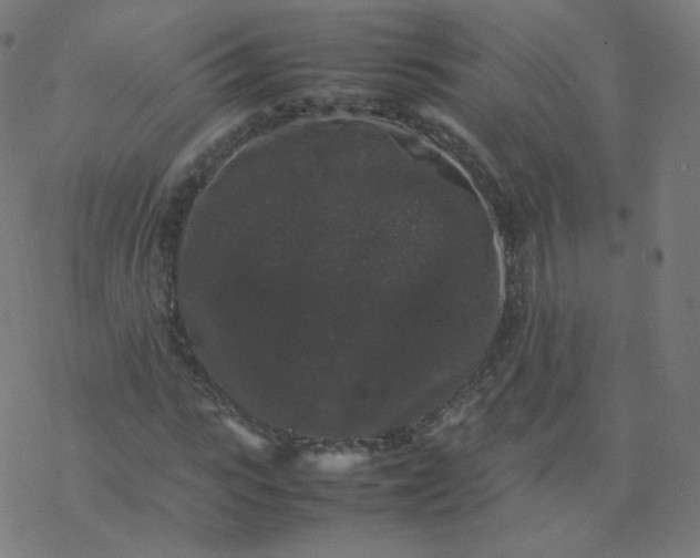 X0000077380919200611031932