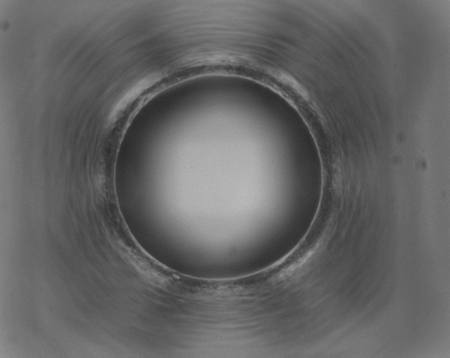 X0000077380922200611031932