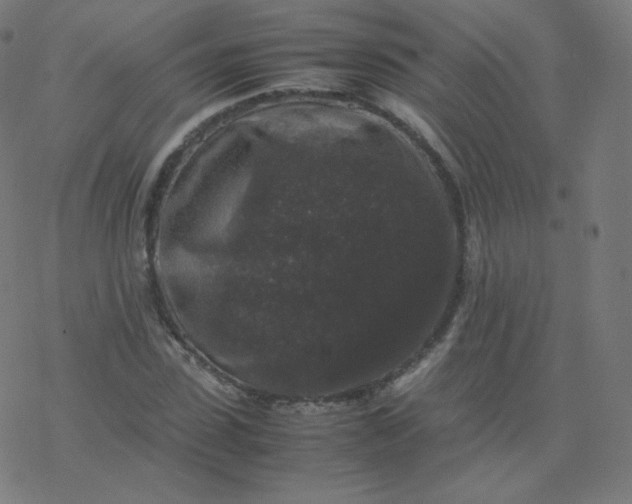 X0000077380923200611031932