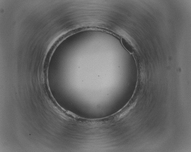 X0000077380924200611031933