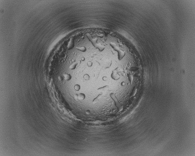 X0000077380925200611031933