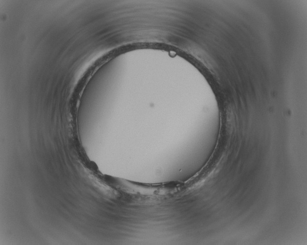 X0000077380926200611031933