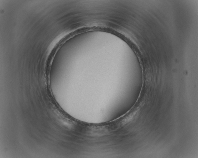 X0000077380927200611031933