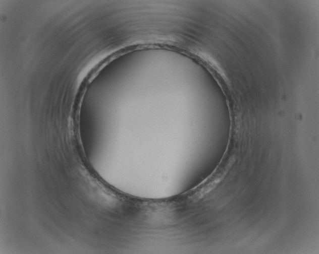 X0000077380928200611031933