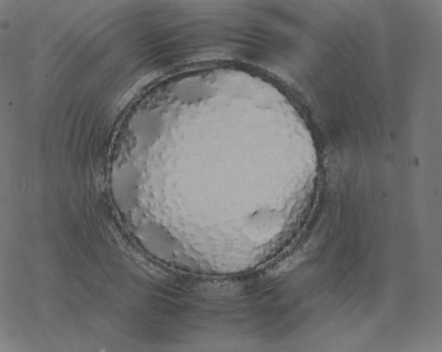 X0000077380929200611031933