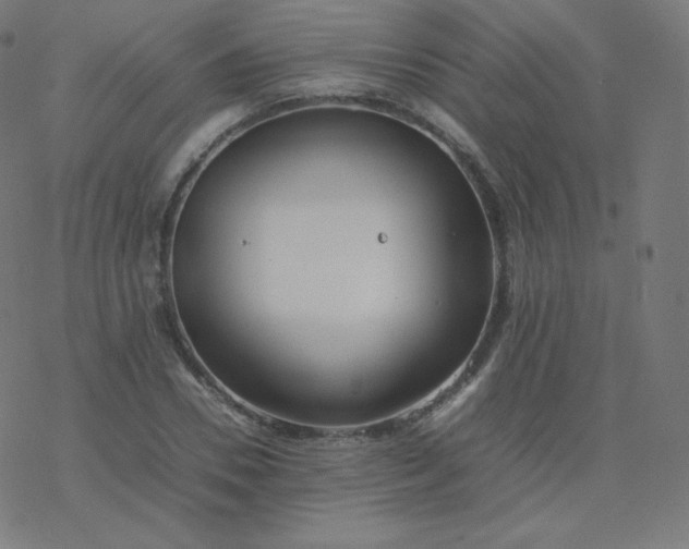 X0000077380930200611031933