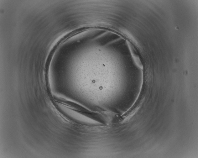 X0000077380932200611031933