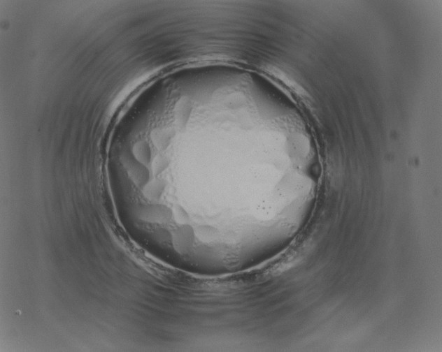 X0000077380933200611031933