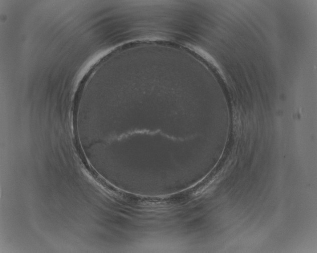 X0000077380935200611031933