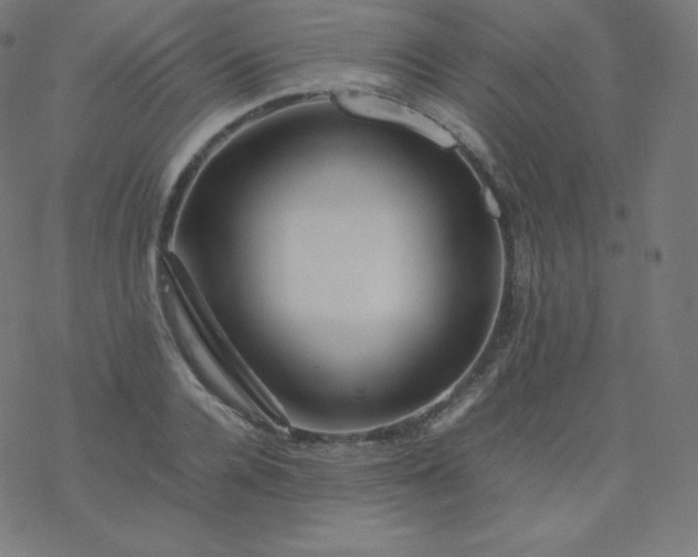 X0000077380936200611031933