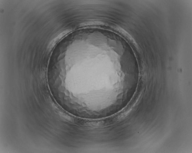 X0000077380937200611031933