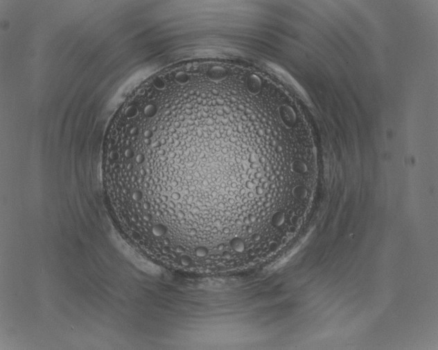 X0000077380938200611031933