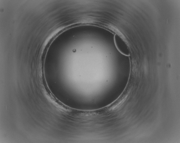 X0000077380939200611031933