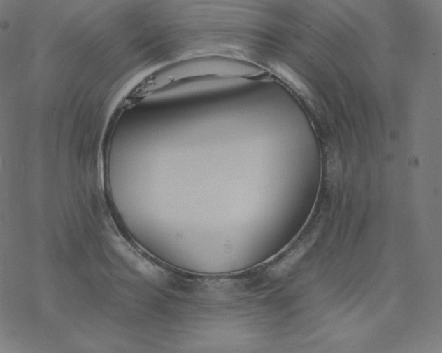 X0000077380940200611031933