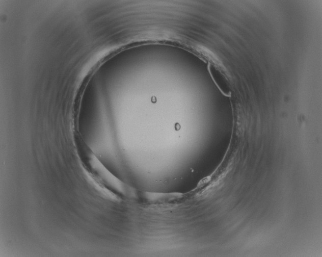 X0000077380942200611031933