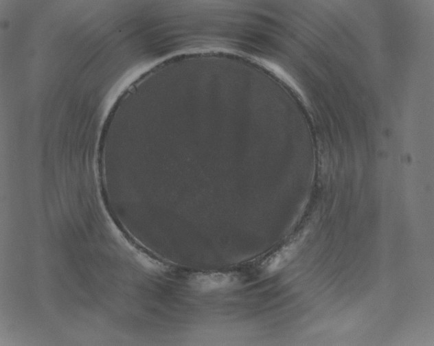 X0000077380943200611031933