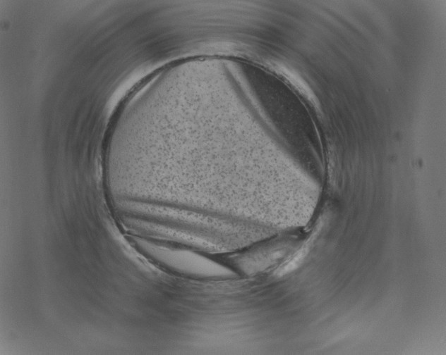 X0000077380944200611031933