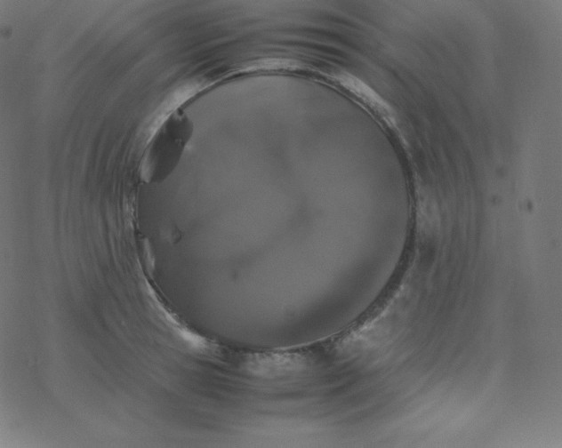 X0000077380945200611031933