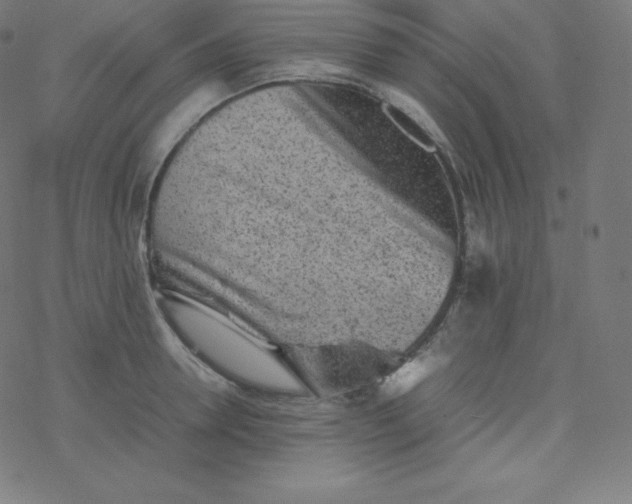 X0000077380946200611031933