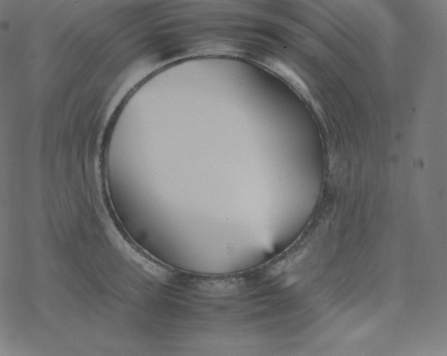 X0000077380947200611031933