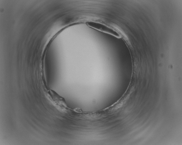 X0000077380948200611031933