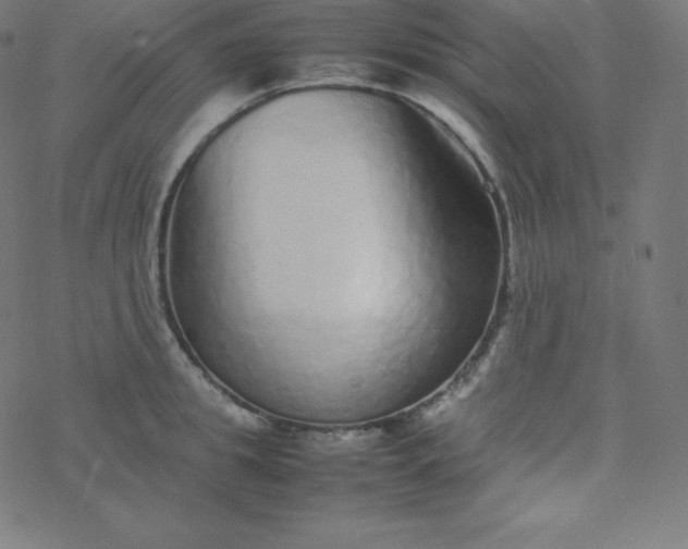 X0000077380949200611031933