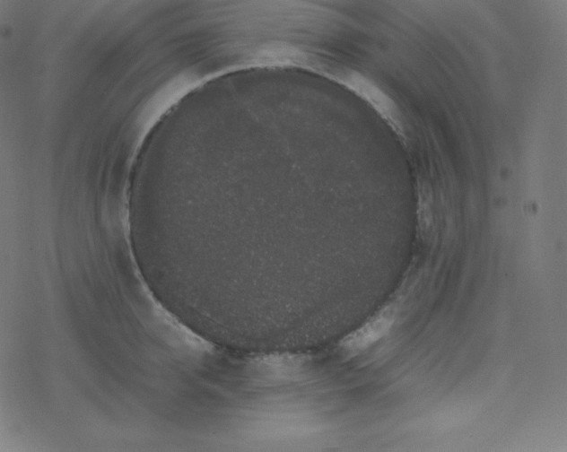 X0000077380950200611031933