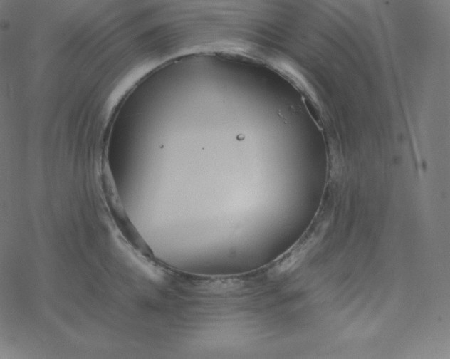 X0000077380952200611031933