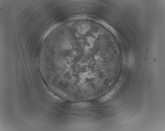 X0000077380953200611031933