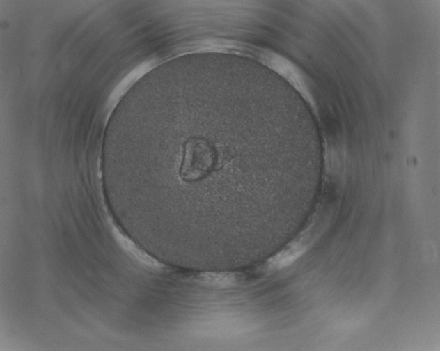 X0000077380954200611031933