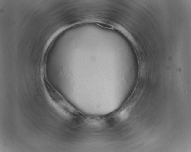 X0000077380955200611031933